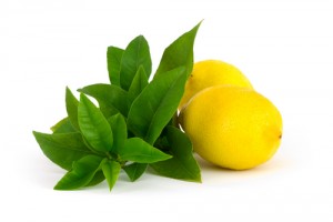Lemon Love magic Spell